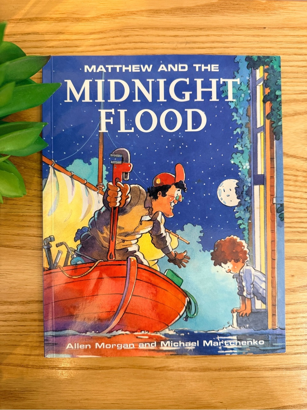 💫10/$25 • Matthew & The Midnight Flood Paperback